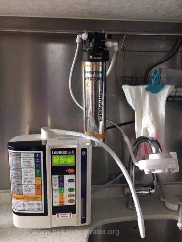 SD501 Everpure 4FCS 掛牆